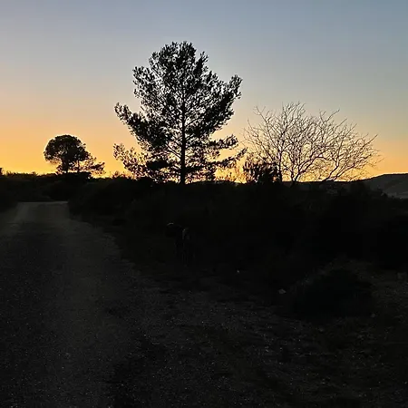 Holiday home La Petite Ecurie Montseret