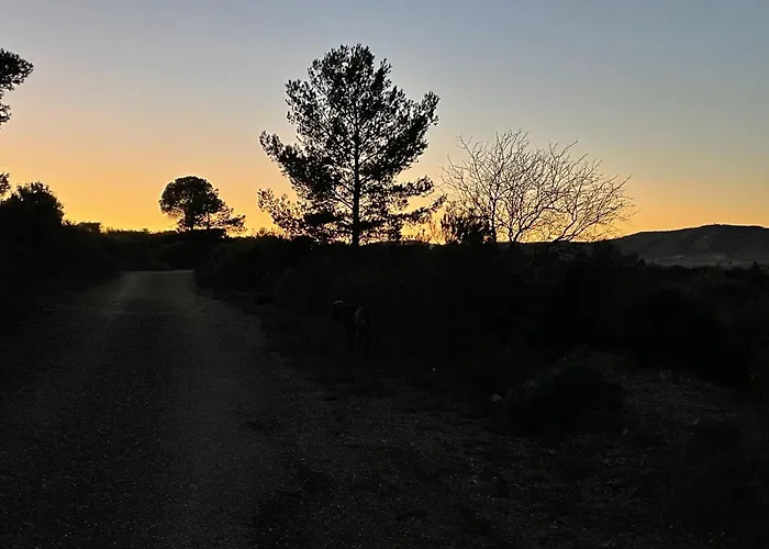 بيت للعطل La Petite Ecurie Montséret